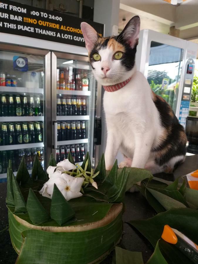 Us Hostel Samui Bophut Zewnętrze zdjęcie